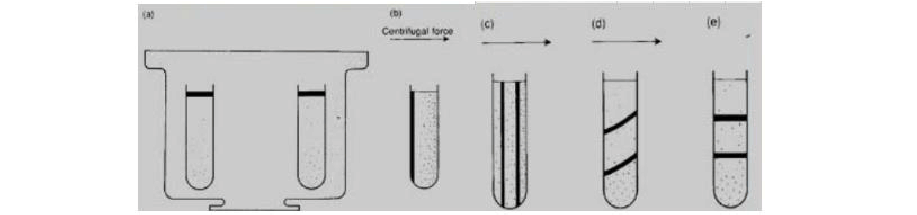 日立離心機(jī)3