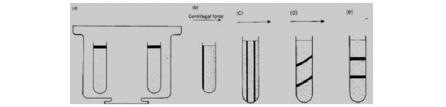 你知道離心機的原理及分類嗎？