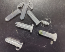 Hitachi超速離心機(jī)售后維修,如···